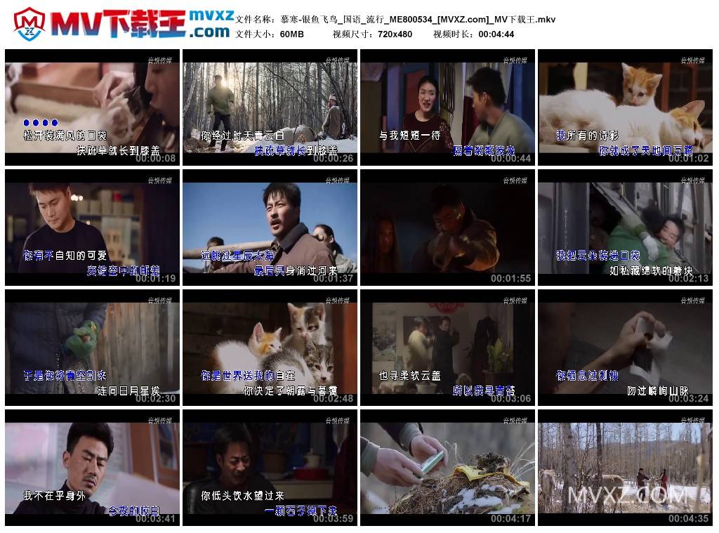 慕寒-银鱼飞鸟_国语_流行_ME800534